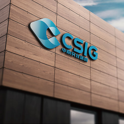 柬埔寨中南集团品牌设计