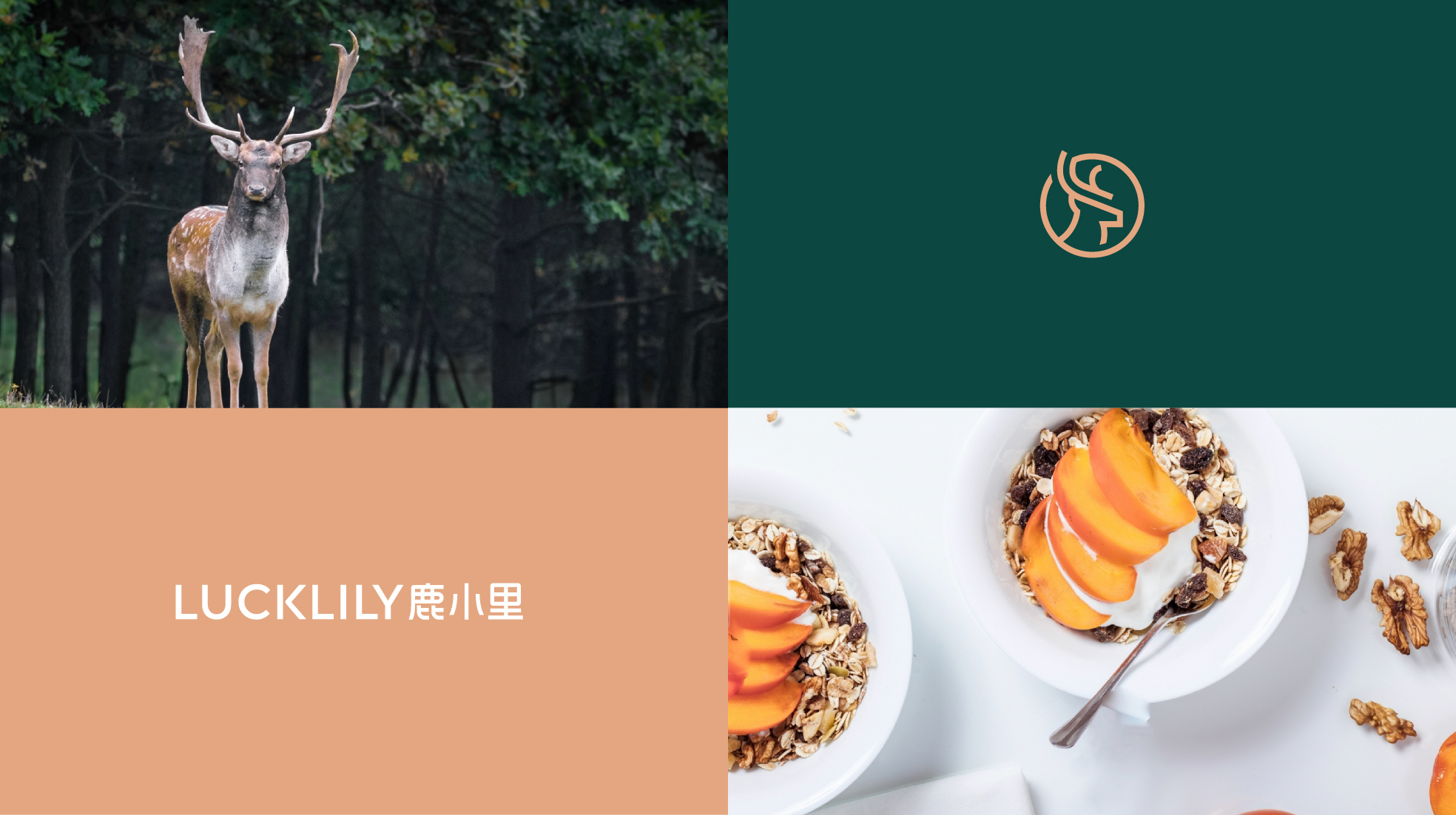深圳时尚轻餐品牌形象设计